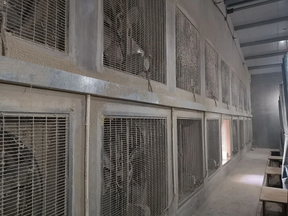 Broiler Cage Ventilation And Cooling System best