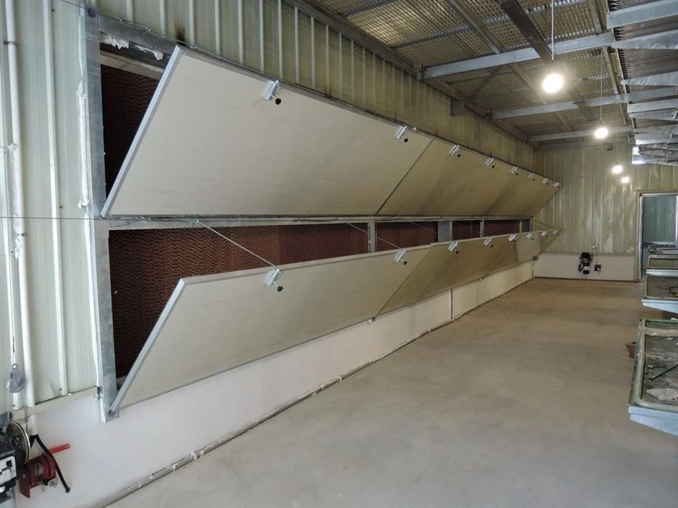 Broiler Cage Ventilation And Cooling System best