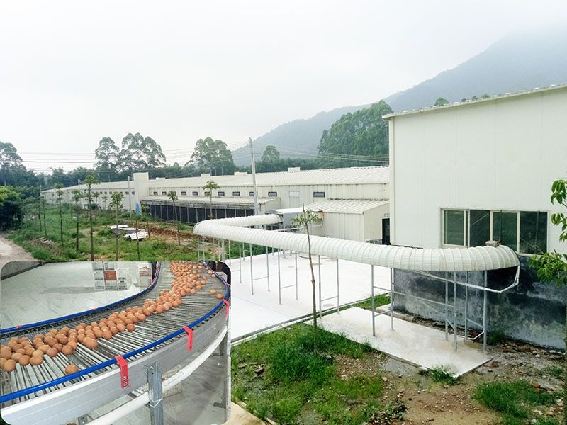 product-800-600